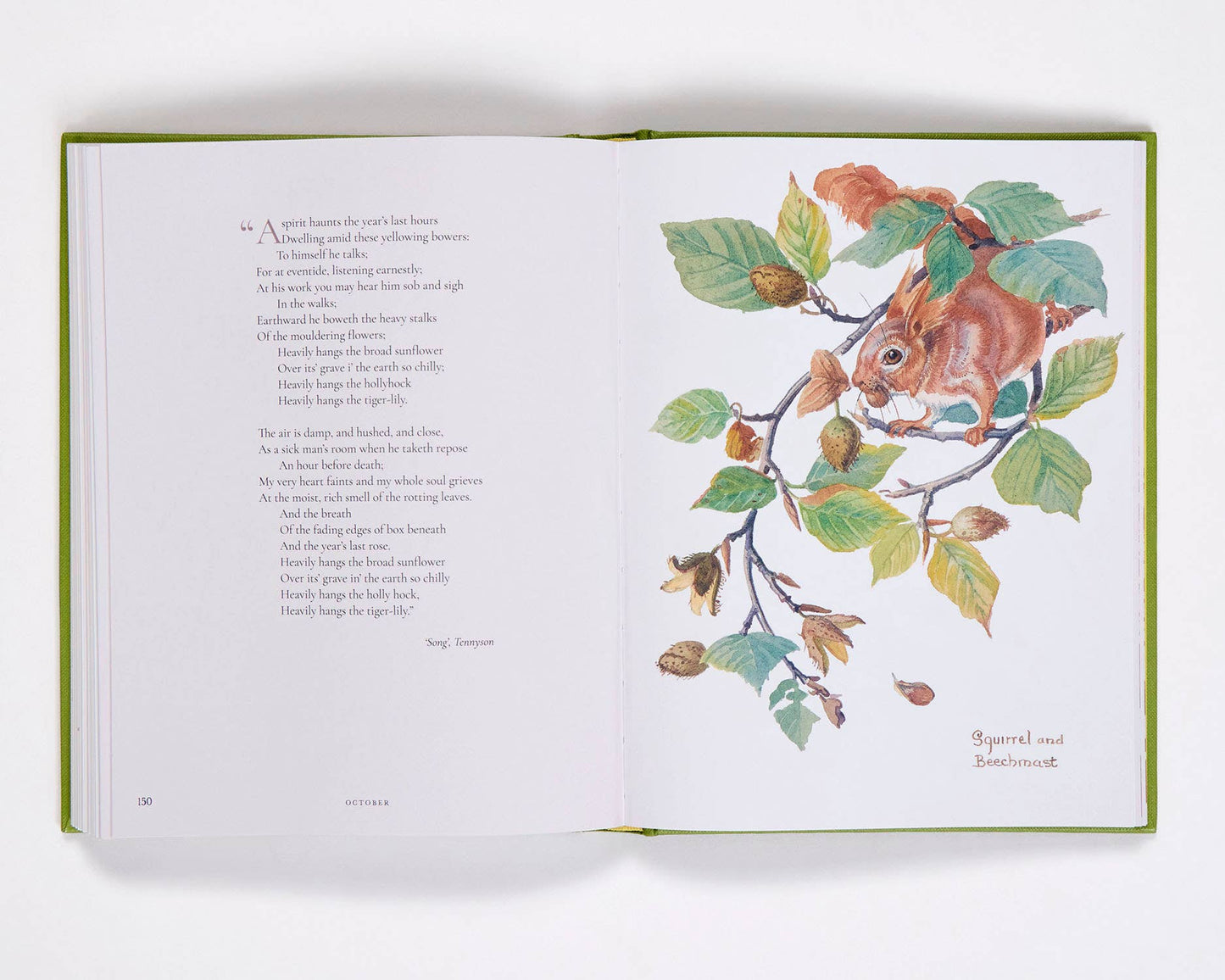 Nature Notes of Edwardian Lady
