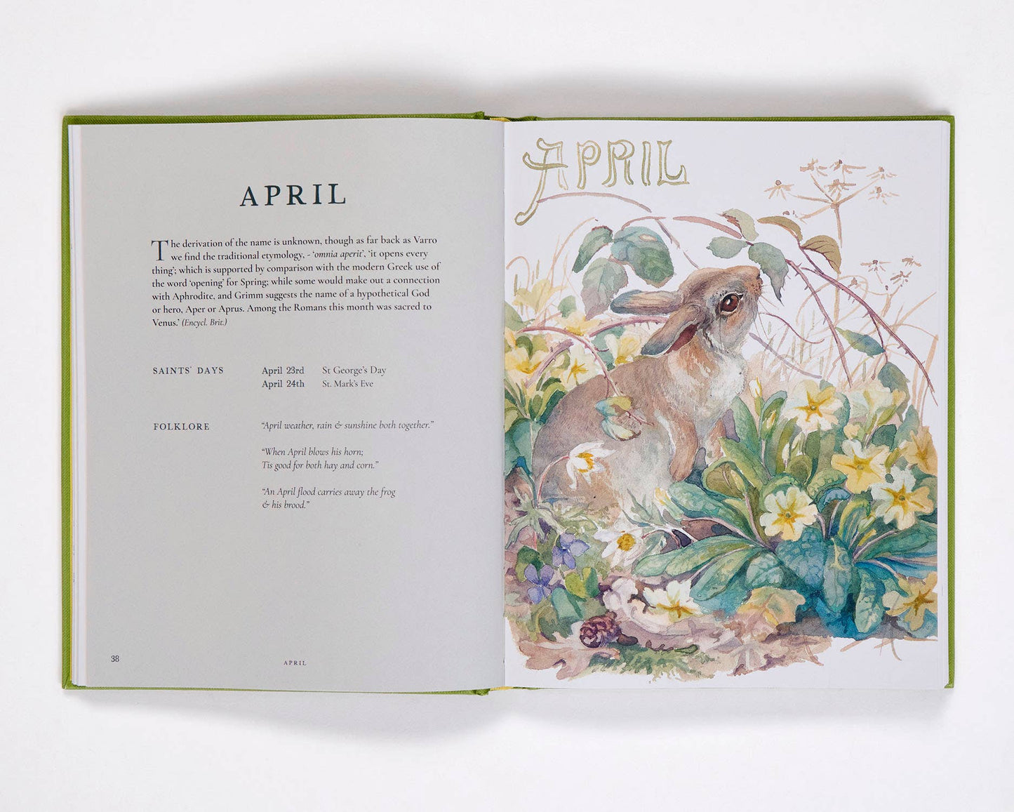 Nature Notes of Edwardian Lady