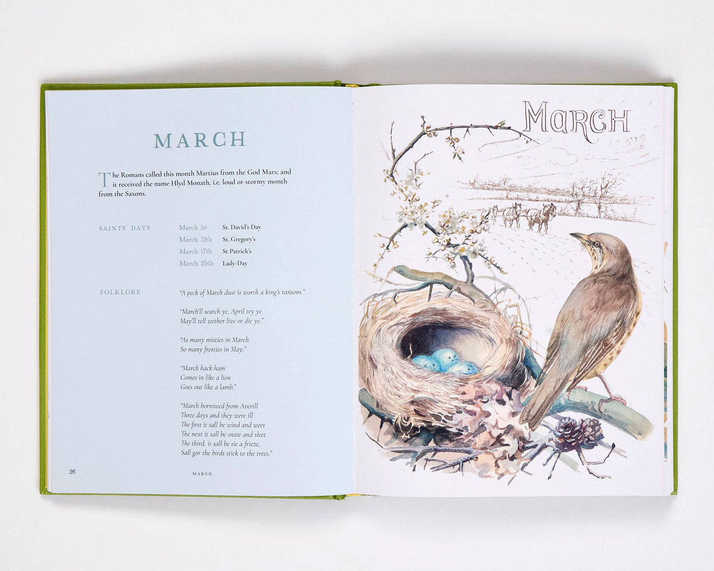 Nature Notes of Edwardian Lady
