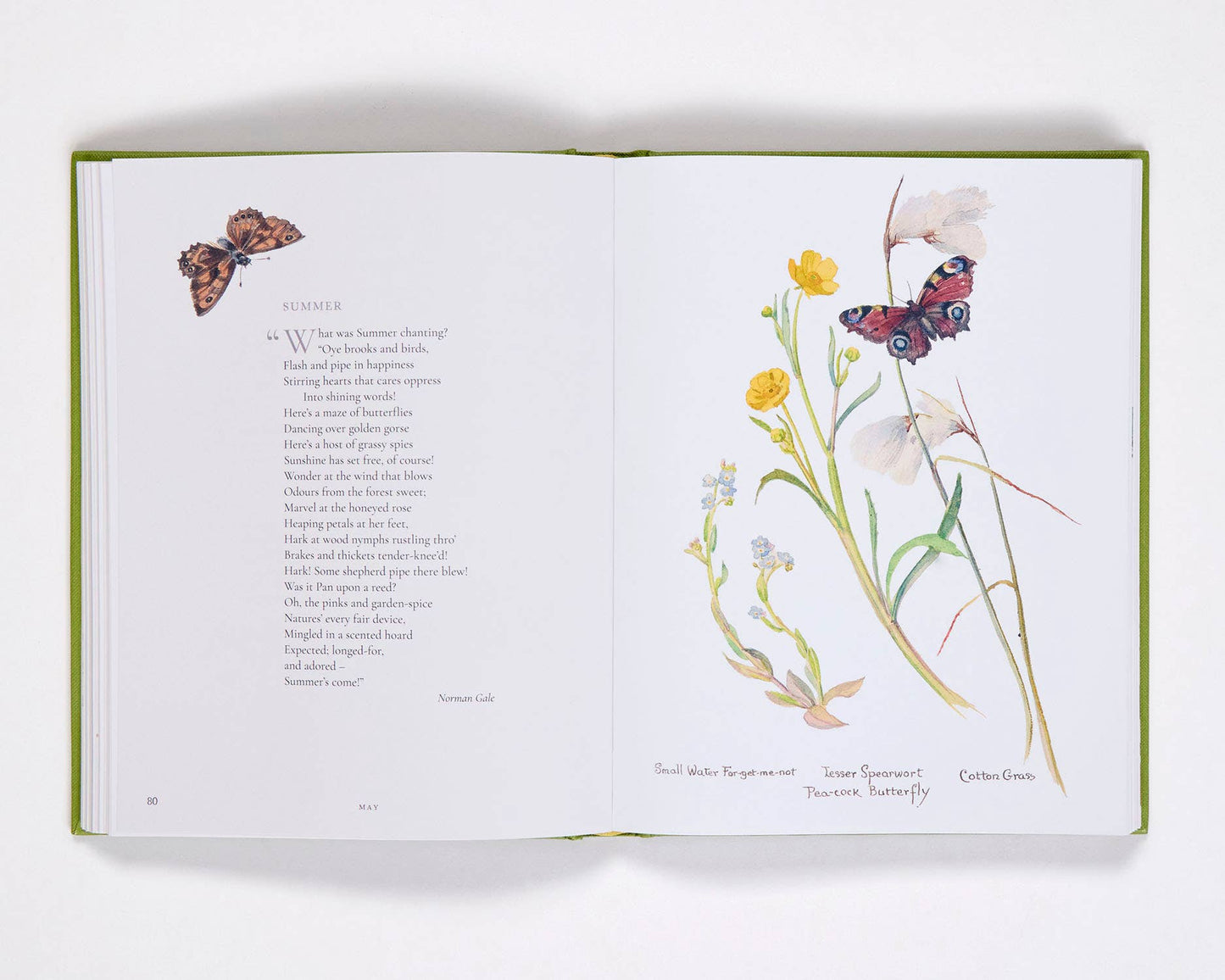 Nature Notes of Edwardian Lady
