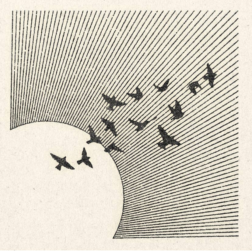 'Mid Air' Print: 11" x 11"