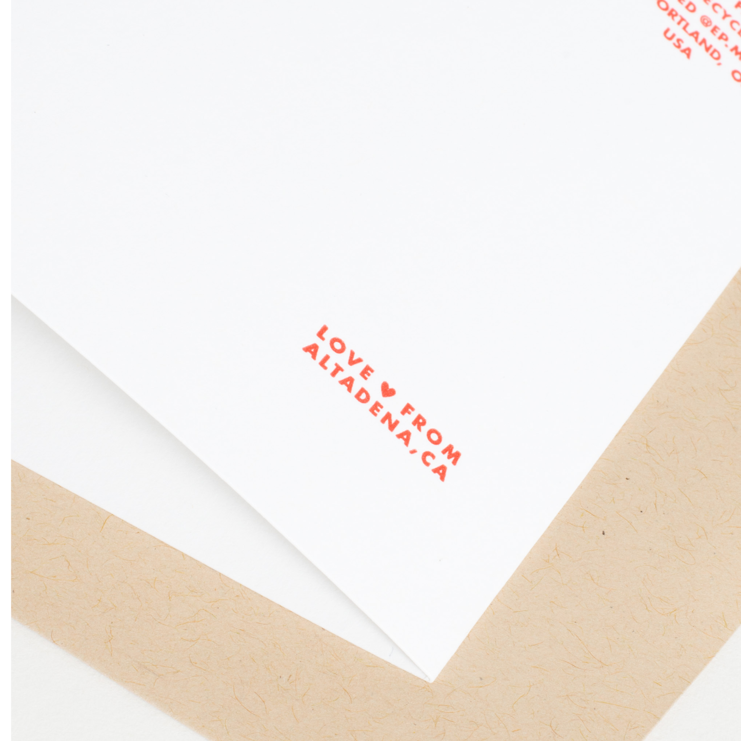 Black Bear Birthday Letterpress Greeting Card by Fugu Fugu