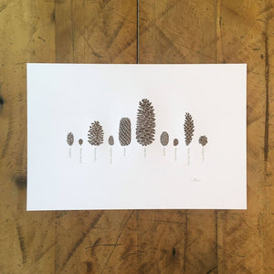 12" x 18" A Few Pine Cones Letterpress Print